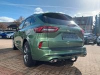 Gebraucht Ford Kuga ST-Line 186 PS (136 kW) 2024 Grün SUV