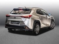 Usado Lexus UX 250h 184 CV (135 kW) 2021 Gris SUV