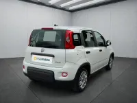 Usata Fiat Panda 71 CV (52 kW) 2024 Bianco Utilitaria