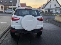Gebraucht Ford Ecosport Trend 125 PS (91 kW) 2015 Weiß SUV
