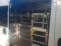 Gebraucht Fiat Ducato 129 PS (94 kW) 2013 Weiß Van