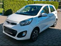 Gebraucht Kia Picanto 69 PS (50 kW) 2012 Weiß Kleinwagen