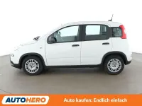 Gebraucht Fiat Panda Cross Cross 69 PS (50 kW) 2024 Bianco divino/zenit/ghiaccio/g Kleinwagen