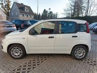gebraucht Fiat Panda New1.2 8V LOUNGE Klimaanlage