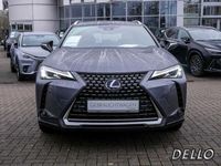 gebraucht Lexus UX 250h