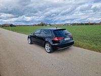 Gebraucht Audi A3 116 PS (85 kW) 2019 Schwarz Limousine