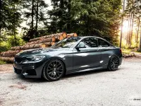 Gebraucht BMW M235 M Performance 326 PS (239 kW) 2015 Grau Coupé