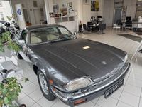 Gebraucht Jaguar XJS 295 PS (216 kW) 1985 Grau