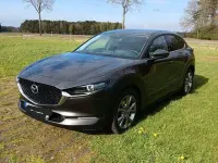 Gebraucht Mazda CX-30 Selection 150 PS (110 kW) 2020 Grau SUV