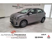 Neu Kia Picanto Vision 68 PS (50 kW) 2025 Grau Kleinwagen
