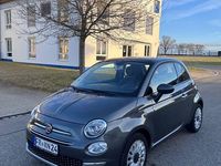 Gebraucht Fiat 500 69 PS (50 kW) 2016 Grau Kleinwagen