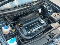 Gebraucht VW Golf IV Pacific 75 PS (55 kW) 2003 Grün Limousine