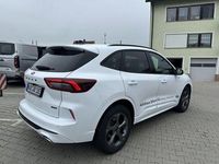 Gebraucht Ford Kuga ST-Line 243 PS (178 kW) 2024 Frostweiß SUV