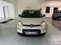 Gebraucht Fiat Panda 69 PS (50 kW) 2023 Colore esterno (weiss) Kleinwagen