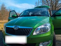 Gebraucht Skoda Fabia Active 69 PS (50 kW) 2012 Grün Kleinwagen