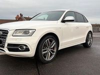 Gebraucht Audi SQ5 Design 313 PS (230 kW) 2015 Weiß SUV
