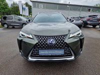 Gebraucht Lexus UX 250h 184 PS (135 kW) 2022 Norigrün (metallic) SUV