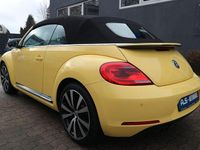 Gebraucht VW Beetle Cabriolet Exclusive 160 PS (117 kW) 2015 Gelb Cabrio