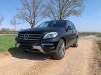 Gebraucht Mercedes ML350 258 PS (189 kW) 2013 Schwarz SUV