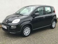 Gebraucht Fiat Panda 69 PS (50 kW) 2024 Schwarz Kleinwagen