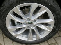 Neu Skoda Scala 116 PS (85 kW) 2025 Grau (graphitegrau metallic) Kleinwagen