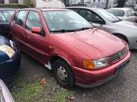 Gebraucht VW Polo 60 PS (44 kW) 1997 Violet Kleinwagen