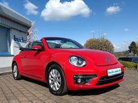 Gebraucht VW Beetle Cabriolet Design 140 PS (102 kW) 2018 Schwarz Cabrio