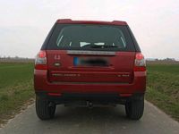 Gebraucht Land Rover Freelander 2 152 PS (111 kW) 2008 Rot SUV