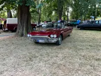 Gebraucht Ford Thunderbird Convertible 300 PS (220 kW) 1964 Rot Cabrio