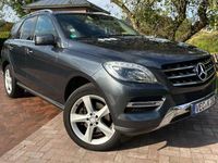 gebraucht Mercedes ML250 M-Klasse BlueTEC 4MATIC 7G-TRONIC