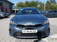 Gebraucht Kia Ceed Comfort 159 PS (116 kW) 2023 Yucca stahlgrau metallic Kleinwagen
