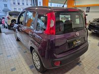 Gebraucht Fiat Panda 69 PS (50 kW) 2013 Violett Limousine
