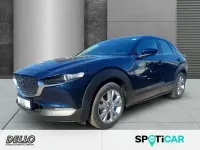 Gebraucht Mazda CX-30 Selection 186 PS (136 kW) 2023 Andere SUV