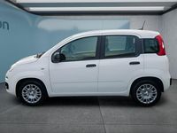 Neu Fiat Panda 65 PS (47 kW) 2026 Weiß Kleinwagen