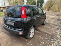 Occasion Fiat Panda 69 ch (50 kW) 2008 Noir Citadine
