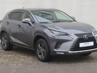 Gebraucht Lexus NX300h E-FOUR Executive Line 197 PS (144 kW) 2019 Grau SUV