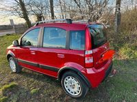 gebraucht Fiat Panda 4x4 