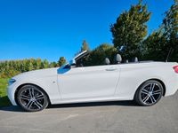 gebraucht BMW 220 i Steptronic Cabrio M Sport,LED,Kamera,Leder