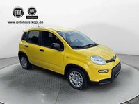 Gebraucht Fiat Panda 69 PS (50 kW) 2024 Pandina gelb Kleinwagen