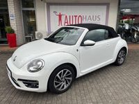 Gebraucht VW Beetle Cabriolet Sound 150 PS (110 kW) 2017 Weiß Cabrio