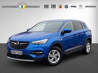 Gebraucht Opel Grandland X Dynamic 131 PS (96 kW) 2018 Blau SUV
