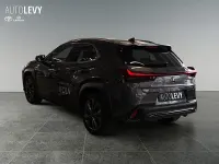 Neu Lexus UX 300h Sport Design Packet 200 PS (147 kW) 2026 Grau SUV
