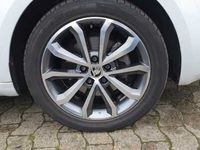 Gebraucht Skoda Octavia Drive 150 PS (110 kW) 2017 Weiß metallic Kombi