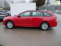 Neu Skoda Octavia Selection 150 PS (110 kW) 2025 Velvetrot metallic Kombi