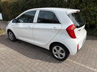 Gebraucht Kia Picanto 67 PS (49 kW) 2017 Weiß Kleinwagen