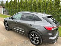 Gebraucht Ford Kuga ST-Line X 152 PS (111 kW) 2023 Grau SUV