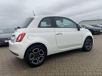 Gebraucht Fiat 500 Club 69 PS (50 kW) 2023 Weiß Limousine