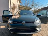 Gebraucht VW Golf Alltrack 184 PS (135 kW) 2015 Grau Kombi