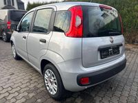 Gebraucht Fiat Panda Easy 69 PS (50 kW) 2018 Grau Kleinwagen