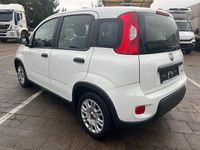 Gebraucht Fiat Panda 69 PS (50 kW) 2023 Kleinwagen